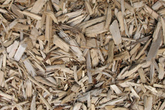 biomass boilers Berefold
